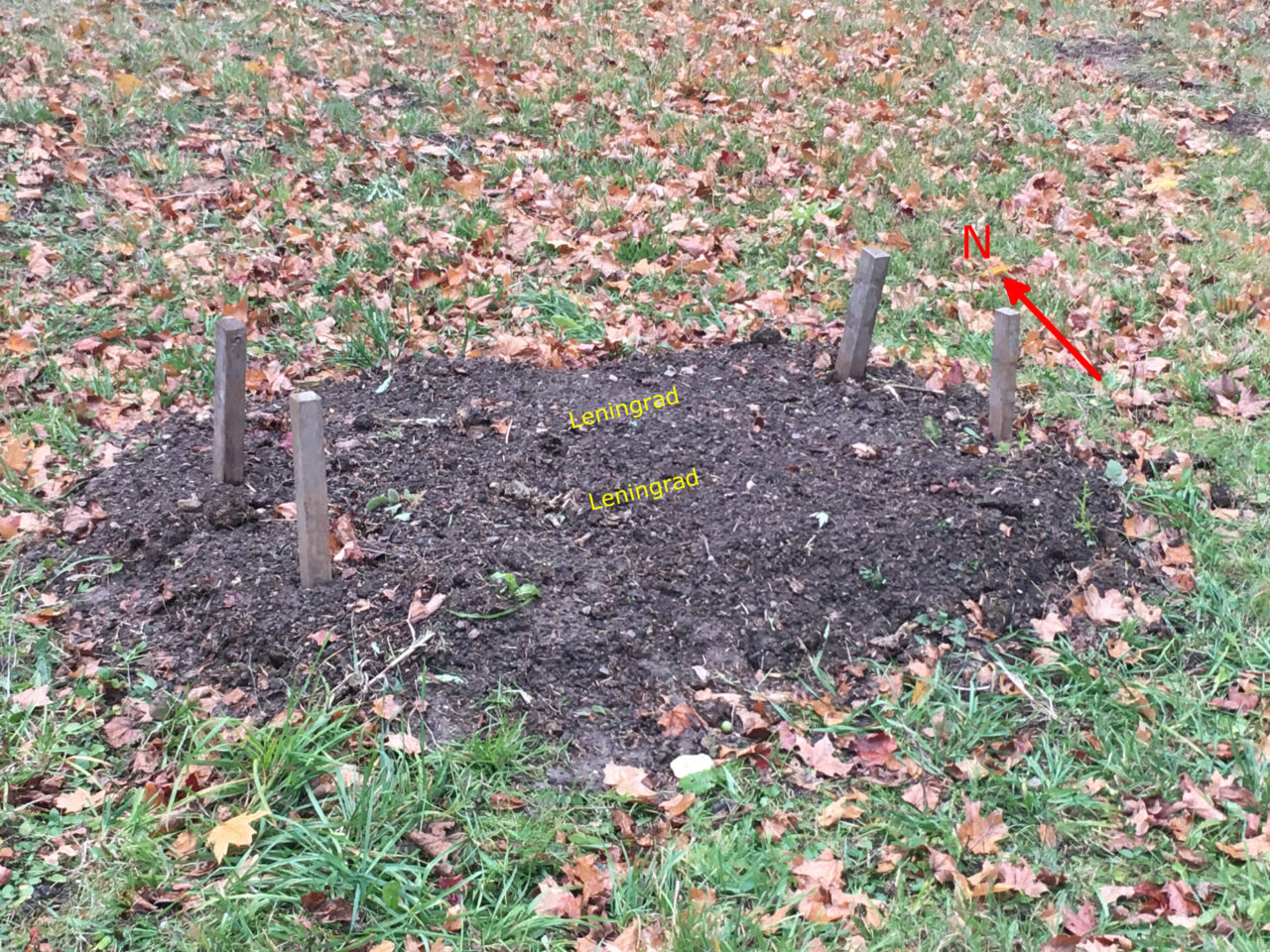 Photograph of the garlic patch behind the house with arrow pointing north and labels for the garlic