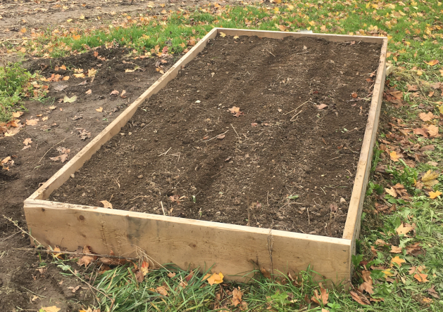 Raised bed next to a farmer's field